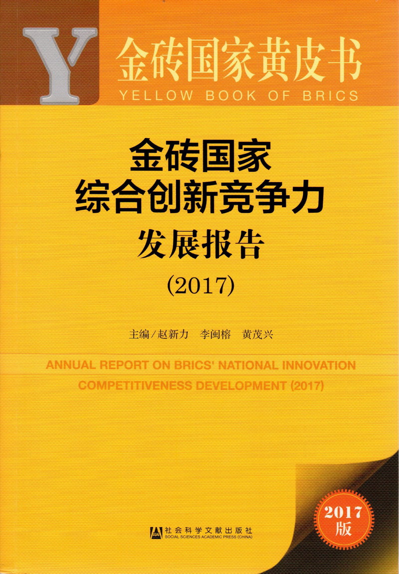 操到疼的黄色小网站金砖国家综合创新竞争力发展报告（2017）